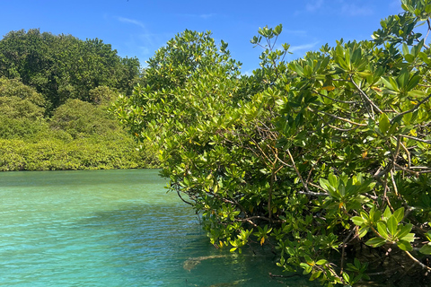 Gira 4 en 1 Portobelo, Cristo Negro, Venas Azules y Playa Blanca