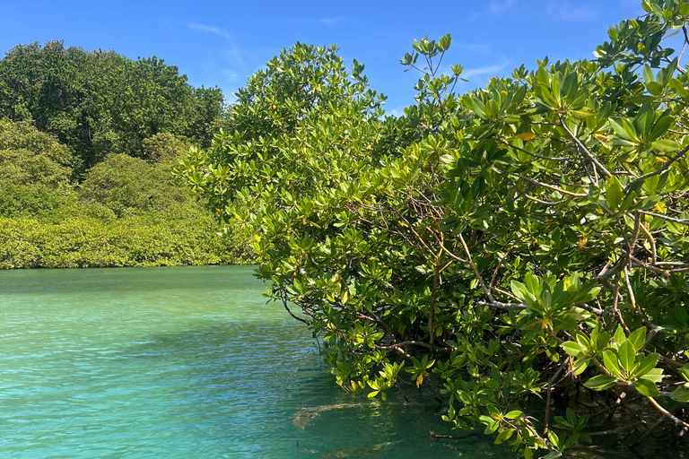 Gira 4 en 1 Portobelo, Cristo Negro, Venas Azules y Playa Blanca
