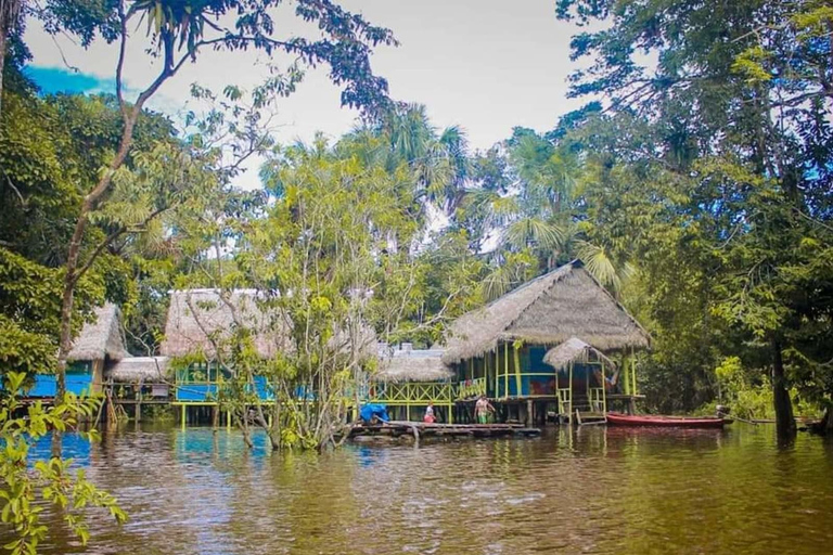 Von Iquitos aus: 4-tägige Tour durch den nördlichen Amazonas