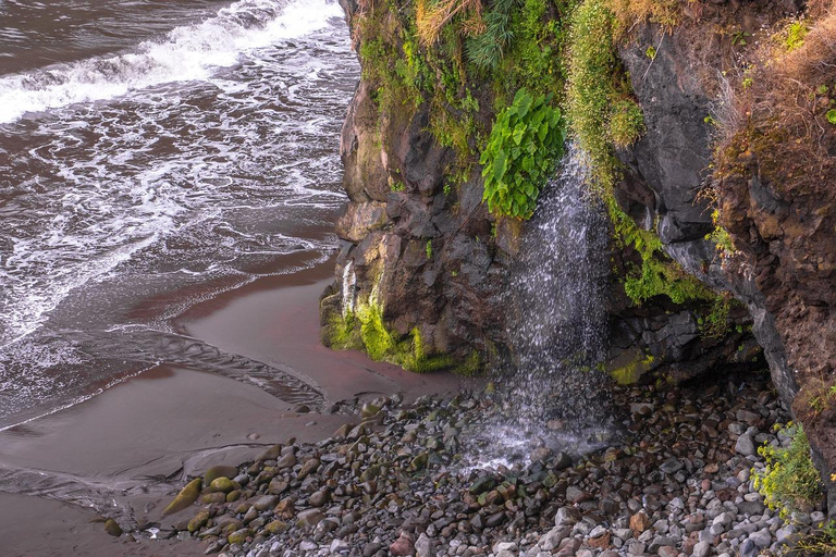 Funchal: West Madeira Private Tour Waterfall & Volcanic Pool