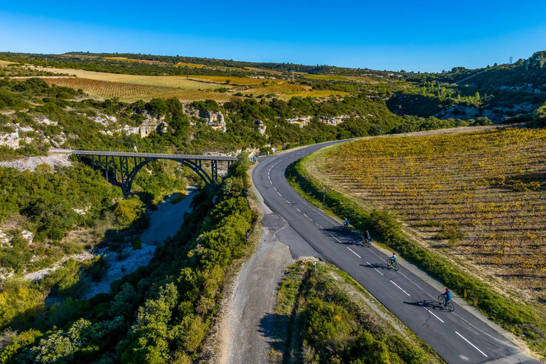 VTT Electrique 3h : Balade en nature pour tout niveau Tarif Réduit Groupe (à partir de 8 personnes)