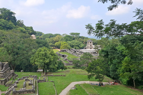 Wandeling door de archeologische vindplaats en jungle van Palenque