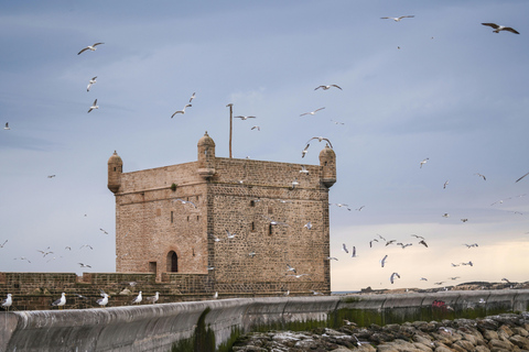 Au départ de Marrakech : excursion d&#039;une journée en petit groupe à Essaouira et SekkalaAu départ de Marrakech : Excursion à Essaouira en petit groupe