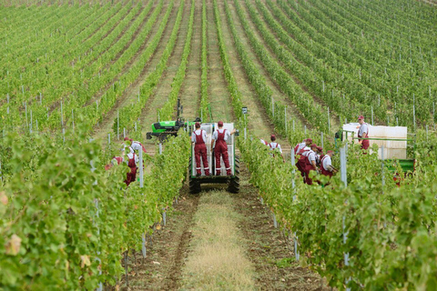 Baku: Gabala Full-Day Guided Tour Gabala Full-Day Guided Tour – Group