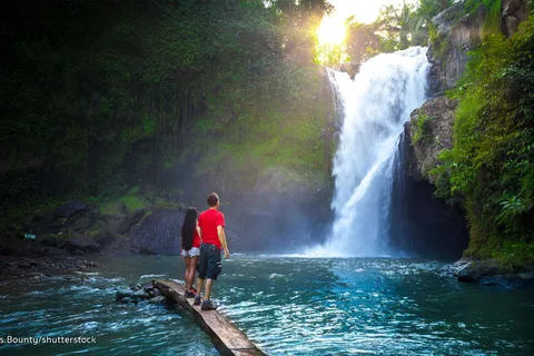 Bali: Tour particular de Ubud com cascata - floresta - arrozal