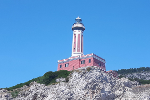 Tour en bateau de Sorrente à Capri - MSH