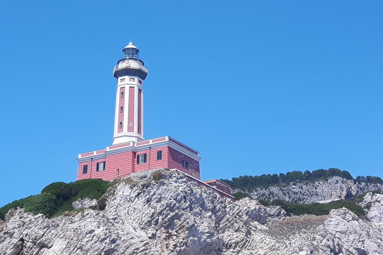 Gemeinsame Bootstour von Sorrento nach Capri - MSH