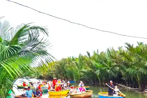 Hoi An: Barco Cesto Con Traslado En Barco Fluvial Y Suelta De Linternas