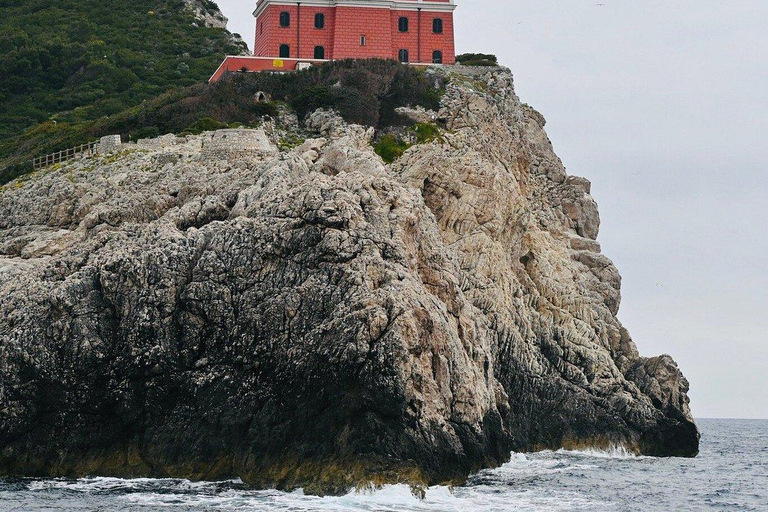 Från Sorrento: båttur till Capri med fri tid på ön