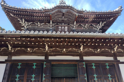 Wakayama: Mt. Koya & Hidden Nachi Falls Tour with Lunch