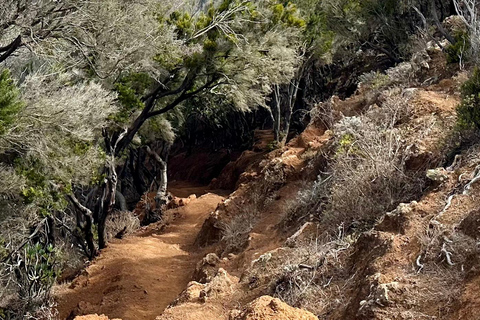 Tenerife: Anaga Hidden Gems Tour with Free Pickup Explore Anaga's hidden gem. Private tour.