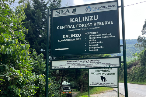 Lago Bunyonyi - Viagem de 1 dia para o trekking com chimpanzés na floresta de Kalinzu