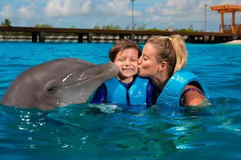 Cancún - Aventura Gato y Nado con Delfines