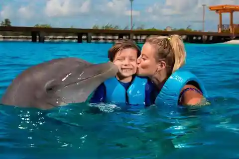 Cancún - Aventura de nado e gato com golfinhos