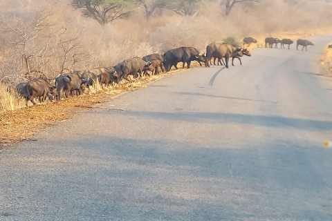 "3-dniowa przygoda: Zimbabwe, Zambia, Botswana Escape"3-dniowe safari pełne przygód: Zimbabwe, Zambia, Botswana Escape