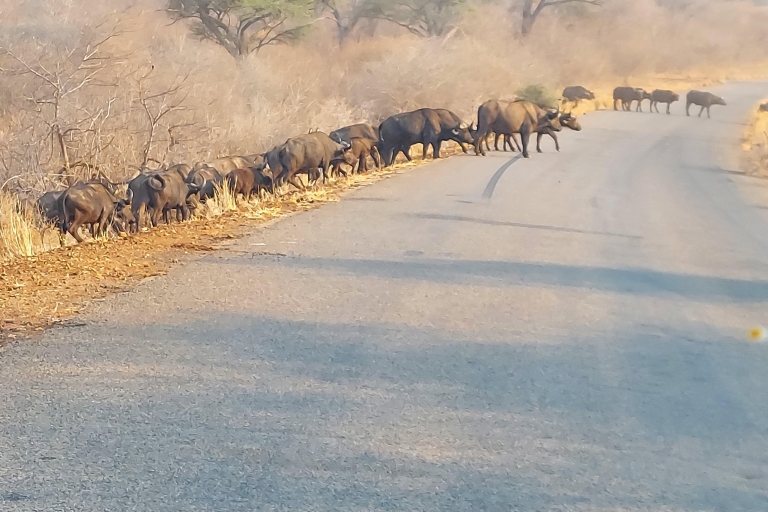 "3-dniowa przygoda: Zimbabwe, Zambia, Botswana Escape"3-dniowe safari pełne przygód: Zimbabwe, Zambia, Botswana Escape
