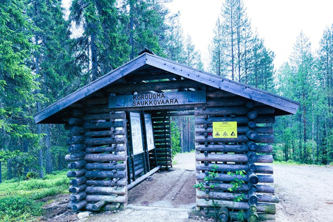 Rovaniemi to Ruka Roller Coaster & Korouoma Canyon Waterfall