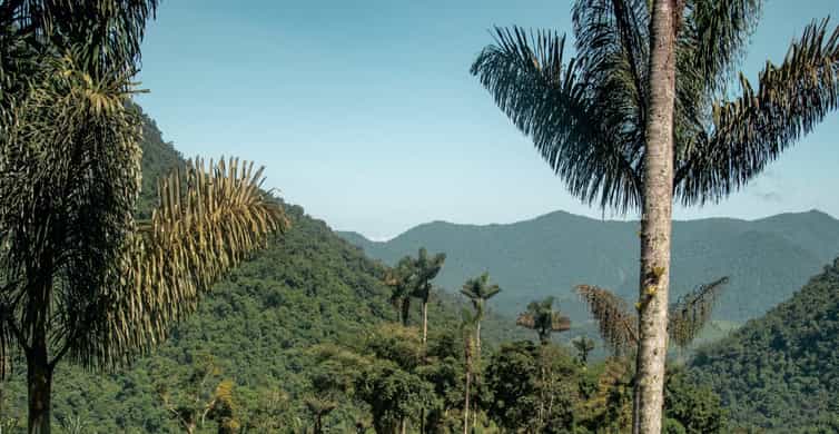 Colagem de mídia