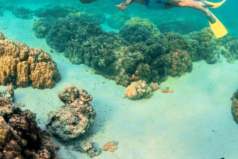 Mauritius: rejs katamaranem na Ile Aux Cerfs z odbiorem z hoteluMauritius: rejs katamaranem na Ile Aux Cerfs z odbiorem