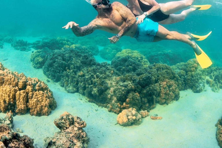 Mauritius: rejs katamaranem na Ile Aux Cerfs z odbiorem z hoteluMauritius: rejs katamaranem na Ile Aux Cerfs z odbiorem