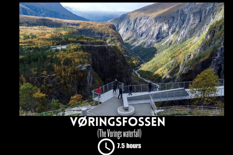 Chute d'eau de Vorings (la plus visitée de Norvège) : Excursion privée d'une journée