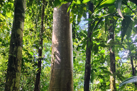 From Cusco: 3-Day Manu Amazon Tour with Lodges & Meals