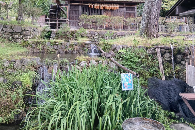 From Tokyo: Mt. Fuji Views Private Customize Itinerary Tour