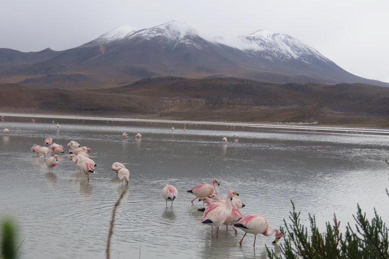 Da La Paz: 2 giorni da Salar de Uyuni ad Atacama Cile in voloViaggio privato