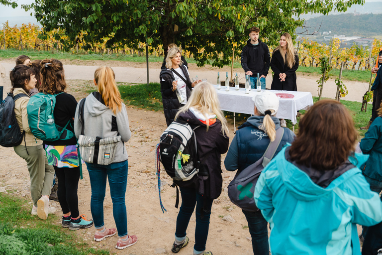 Rüdesheim: city tour with music and wine