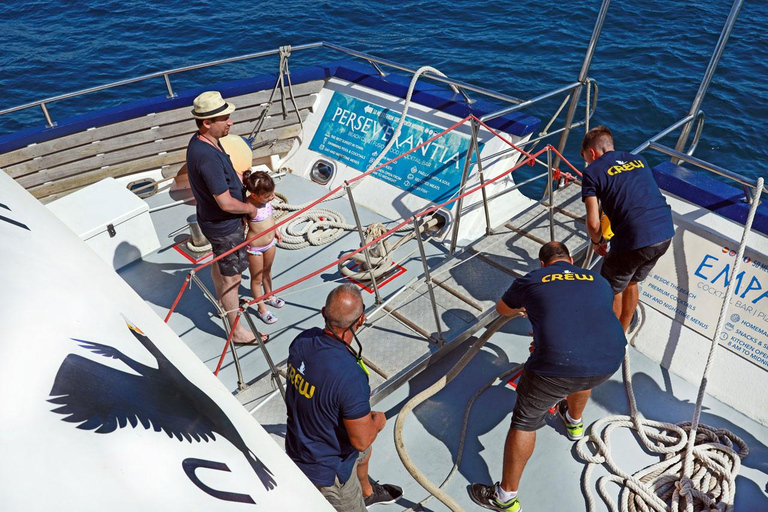 Desde Palma: tour en barco de 3 horas por la mañana para avistar delfines1049 Poliesportiu Rudy Fernandez Parada de autobús Recogida a las 9:55 AM