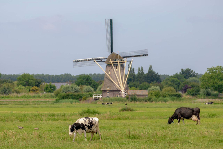 Amsterdão: Zaanse Schans, degustação de queijos e passeio em VolendamAmesterdão: Zaanse Schans, degustação de queijos e passeio por Volendam