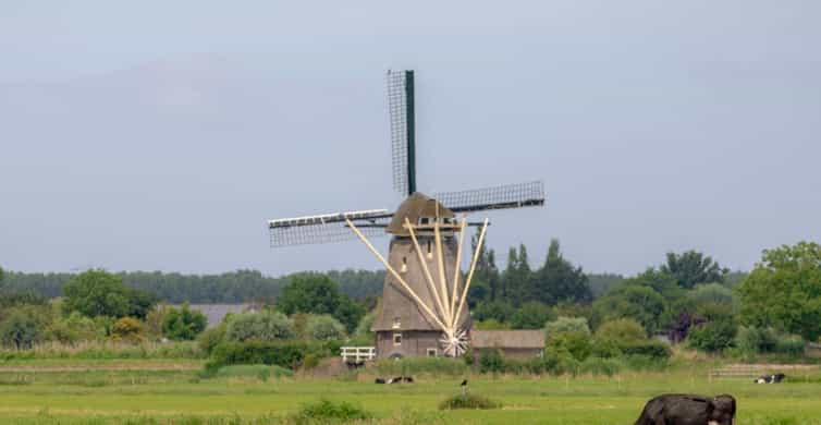 Amsterdam: Zaanse Schans, Cheese Tasting & Volendam Tour photo 13
