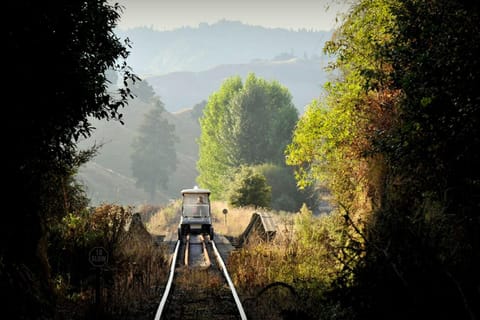 Taumarunui: Railcart and Jetboat Adventure with lunch - Image 2