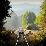 Taumarunui: Railcart and Jetboat Adventure with lunch