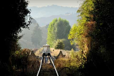 Taumarunui: Railcart and Jetboat Adventure with lunch - Image 3