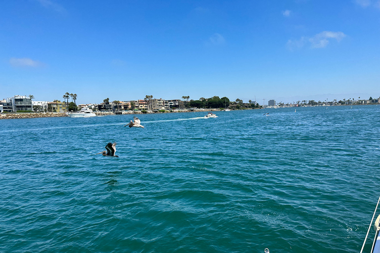 Marina Del Rey: 2 uur privé catamarantour door de jachthaven