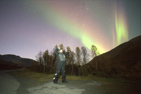 Tromsø: Northern Lights Tour with Photos & Snacks