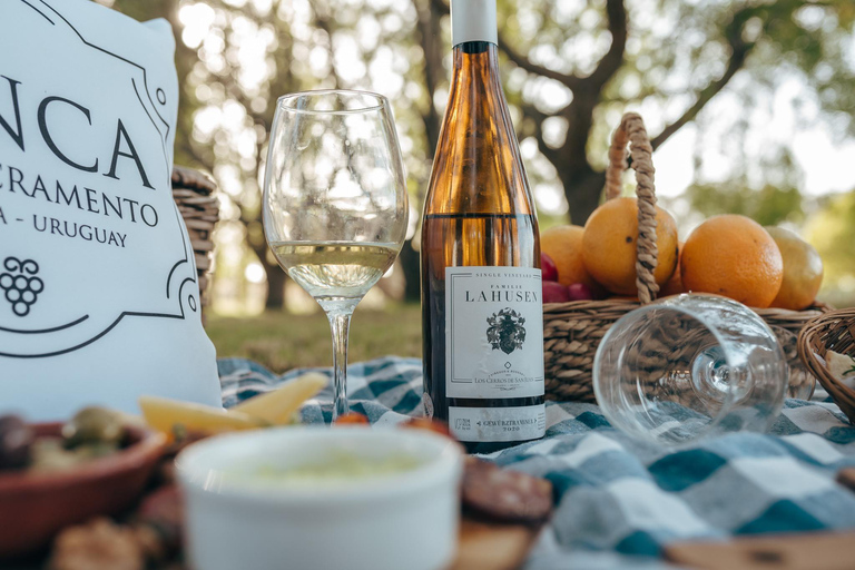 Slow Picnic Experience with Transportation Included Picnic Experience with Transportation Included
