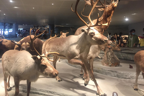 Shanghai Natural History Museum Admission Ticket