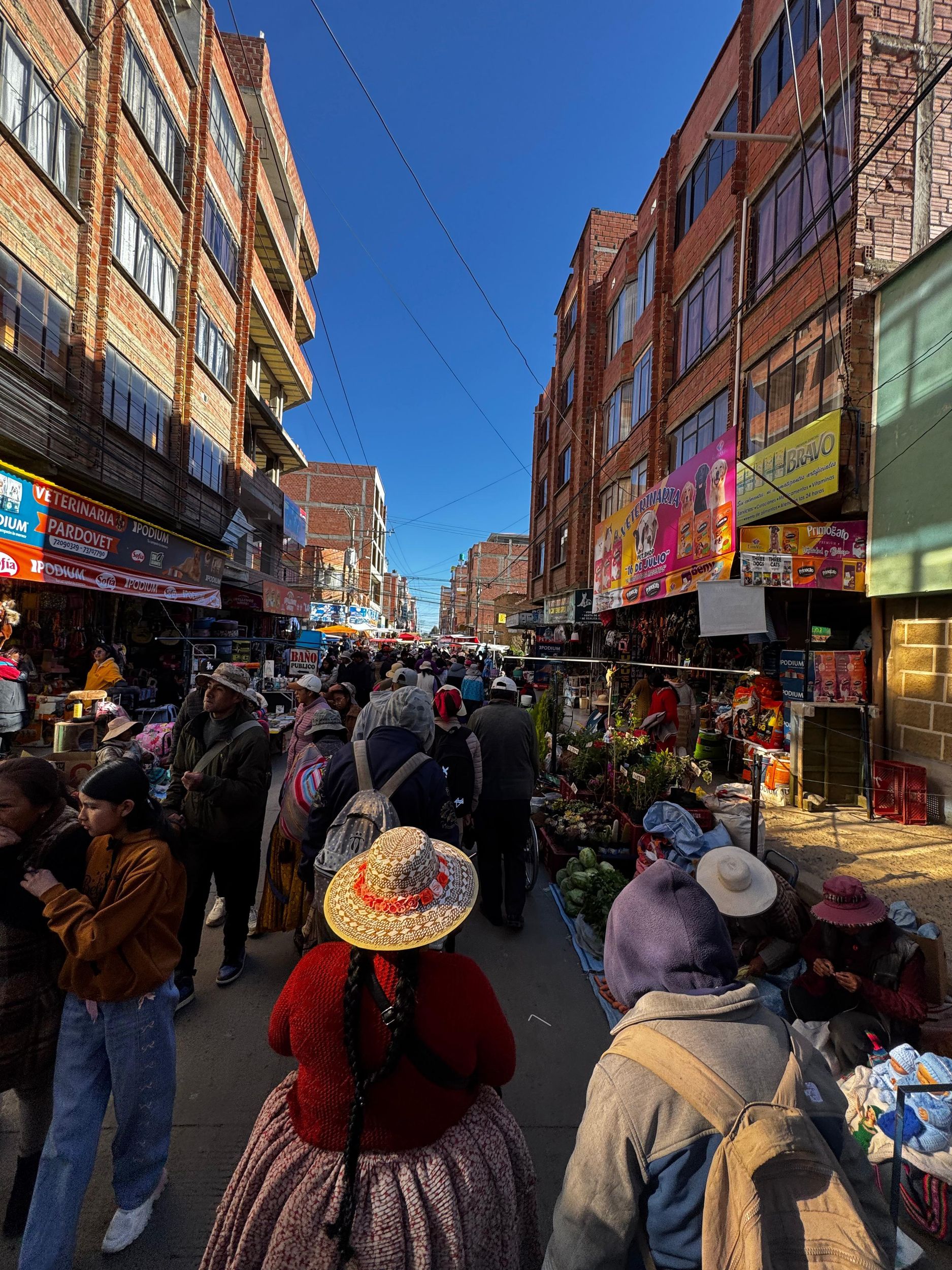 La Paz: Erkunde Südamerikas größten Markt in El Alto
