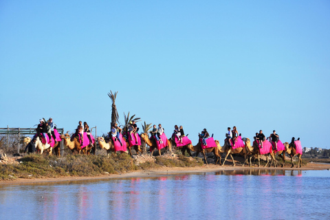 DJERBA : CHAMEAU ET CHEVAL (2H30).