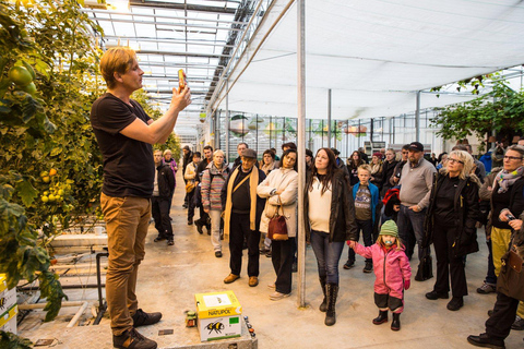 Reykjavik: 3 dias no Círculo Dourado, Costa Sul e Lagoa Azul