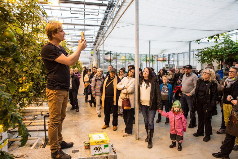 Reykjavik: 3 dias no Círculo Dourado, Costa Sul e Lagoa Azul