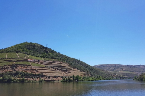 Oporto: valle del Duero con cata de vino, almuerzo y cruceroTour en grupo