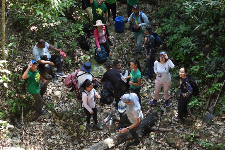 Monkey’s Creek: An Extreme Tropical Forest Hiking Adventure