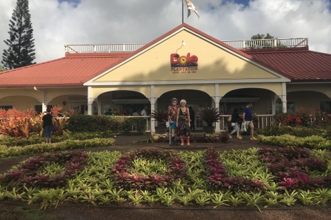 Oahu: Hoogtepunten van Oahu Small Group Tour