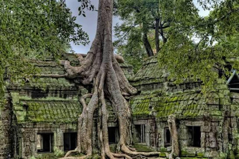 Angkor Wat & Must-See Temples Private Tour by Tuk Tuk Add Sunrise Tour Option
