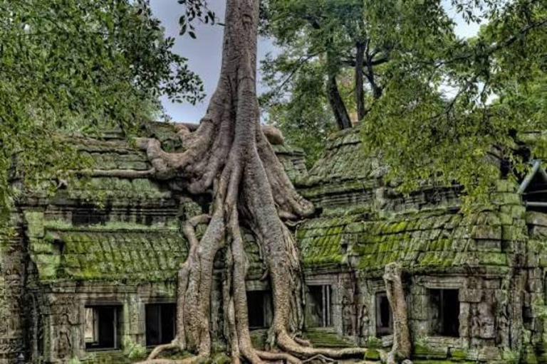Angkor Wat & Must-See Temples Private Tour by Tuk Tuk Add Sunrise Tour Option