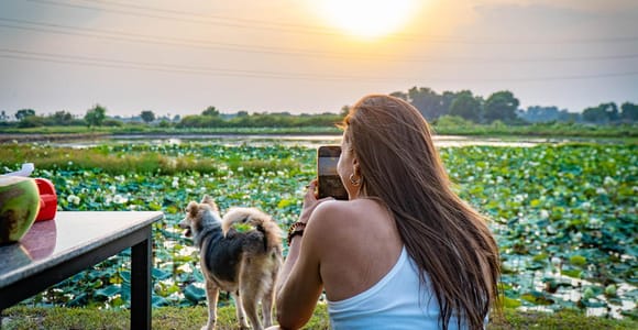 Siem Reap: Lotus Silk Farm Tour & Countryside Sunset