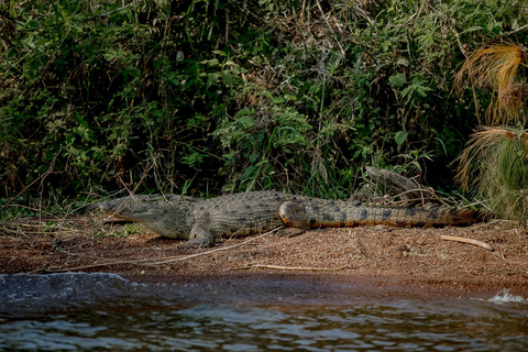 1 Day Mabamba Boat cruise and Entebbe Zoo Visit